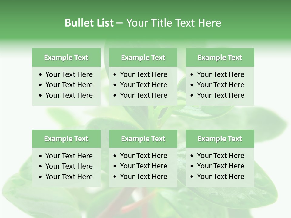 Peperomia Leaves Leafs PowerPoint Template