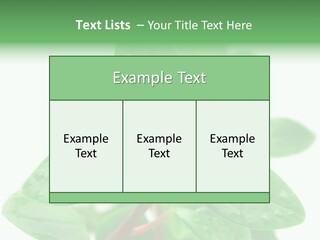 Peperomia Leaves Leafs PowerPoint Template