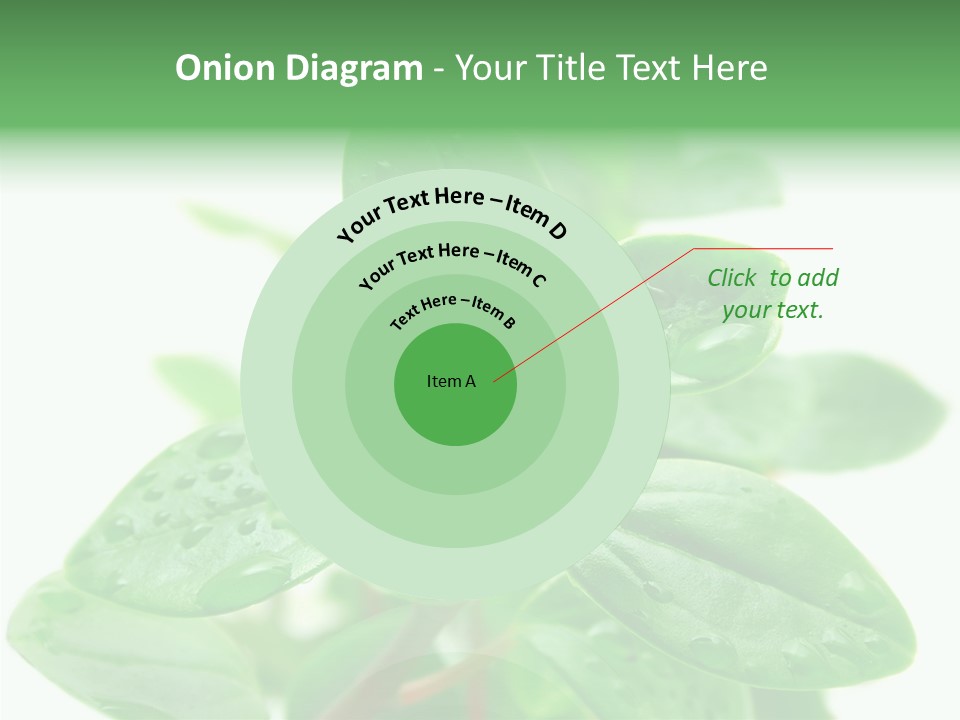 Peperomia Leaves Leafs PowerPoint Template