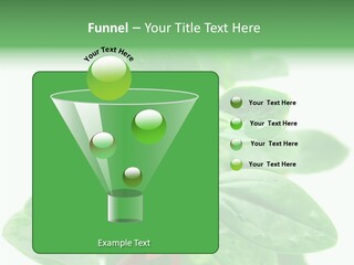 Peperomia Leaves Leafs PowerPoint Template