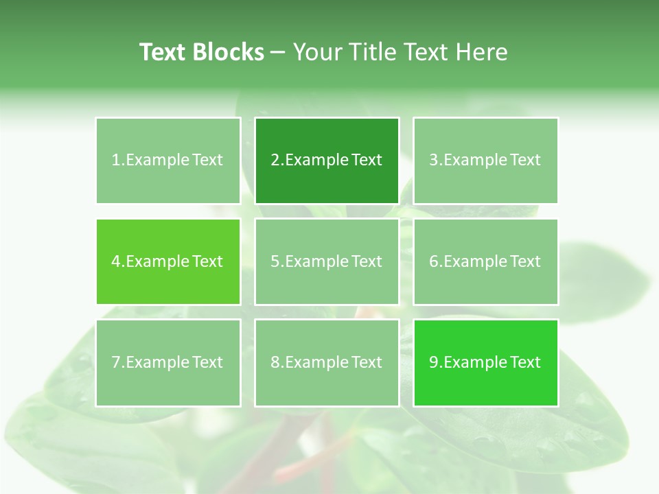 Peperomia Leaves Leafs PowerPoint Template