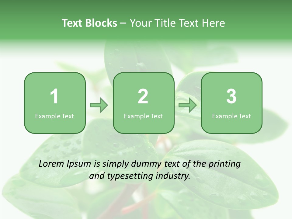 Peperomia Leaves Leafs PowerPoint Template