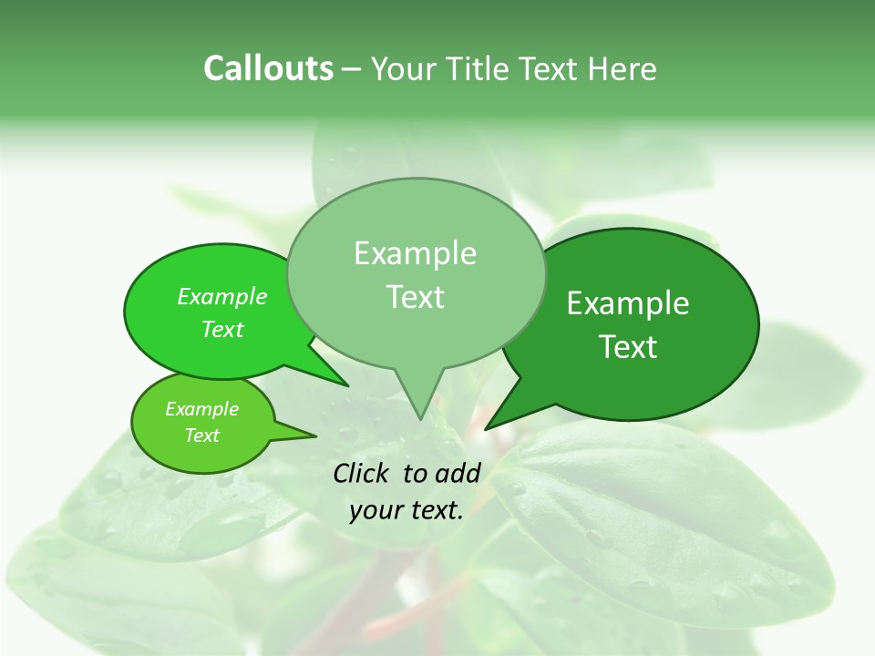 Peperomia Leaves Leafs PowerPoint Template