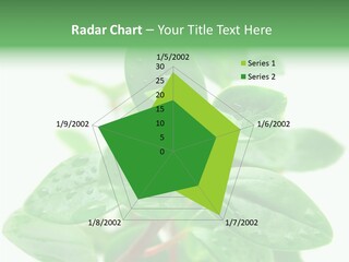 Peperomia Leaves Leafs PowerPoint Template