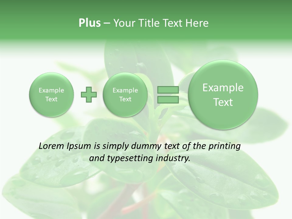 Peperomia Leaves Leafs PowerPoint Template