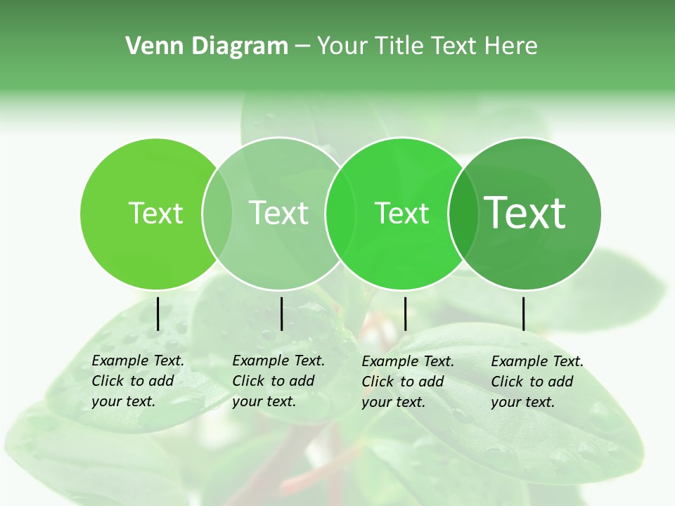 Peperomia Leaves Leafs PowerPoint Template