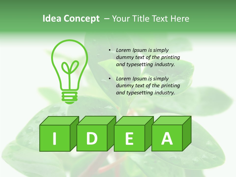 Peperomia Leaves Leafs PowerPoint Template