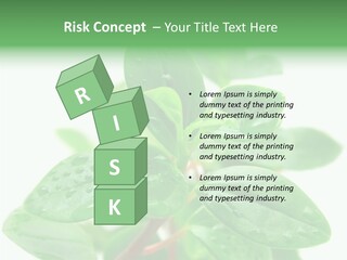 Peperomia Leaves Leafs PowerPoint Template