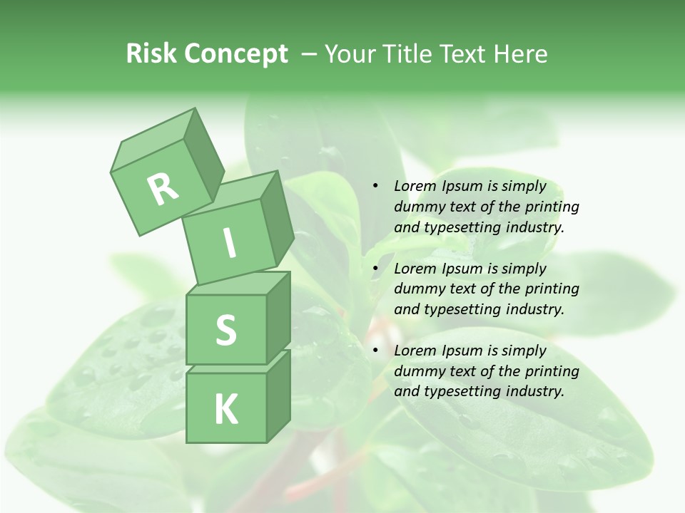 Peperomia Leaves Leafs PowerPoint Template
