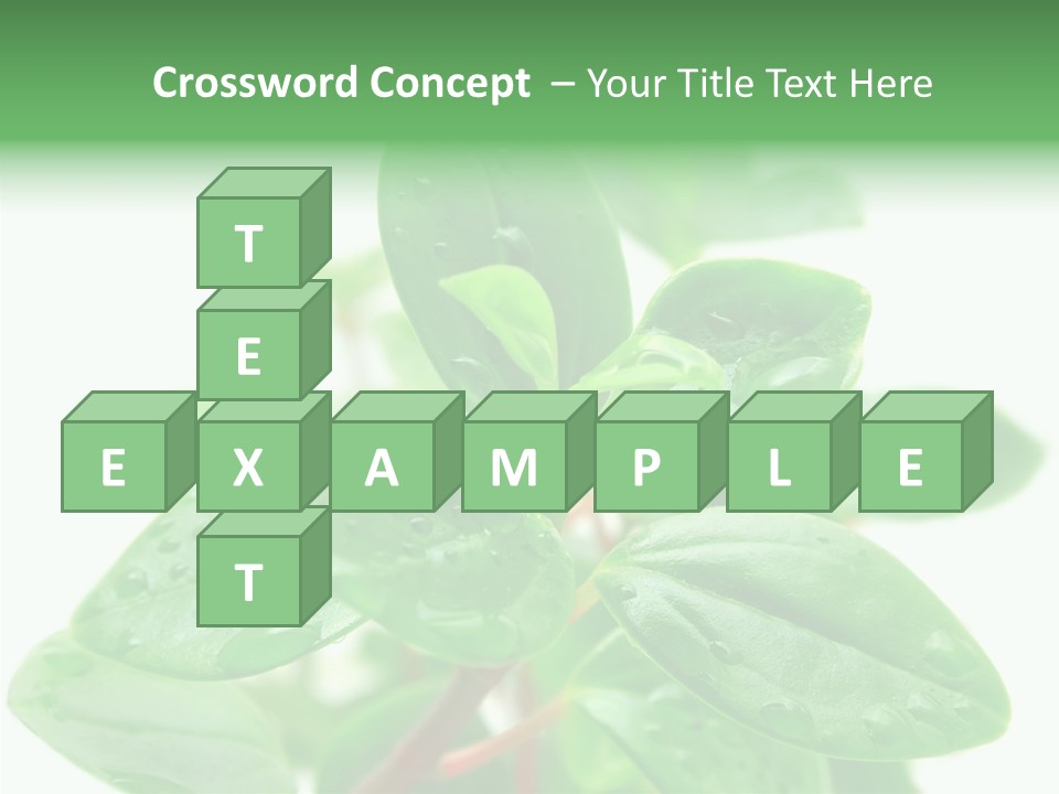 Peperomia Leaves Leafs PowerPoint Template