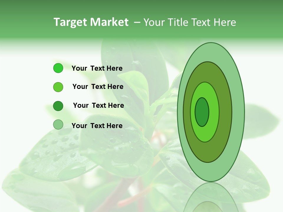 Peperomia Leaves Leafs PowerPoint Template
