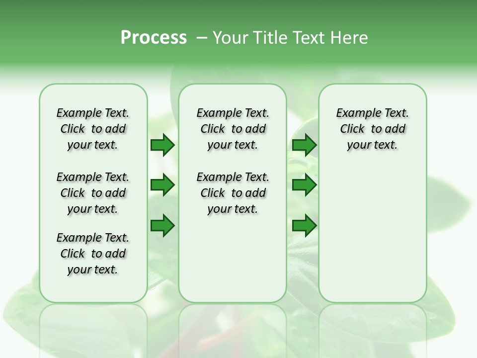 Peperomia Leaves Leafs PowerPoint Template