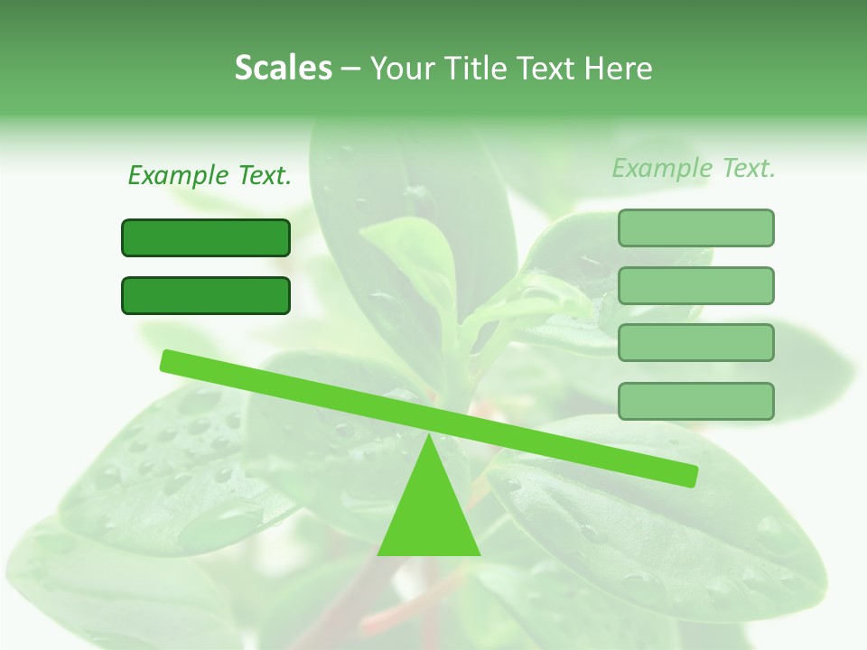 Peperomia Leaves Leafs PowerPoint Template