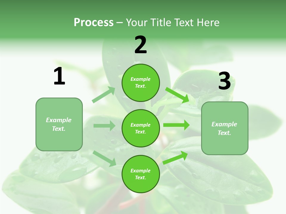 Peperomia Leaves Leafs PowerPoint Template