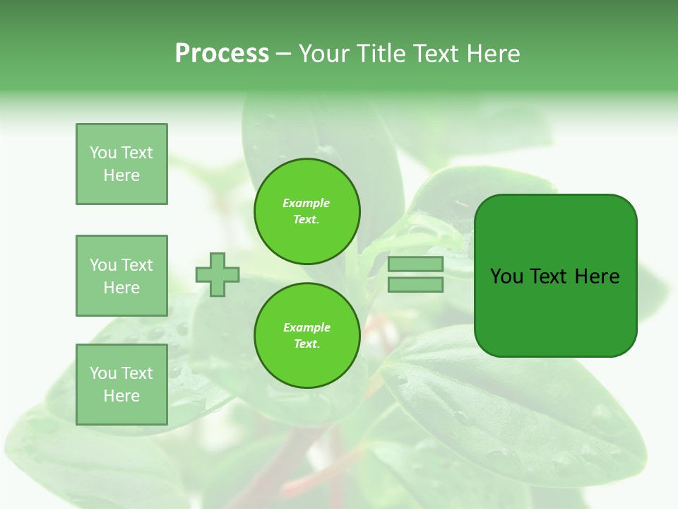 Peperomia Leaves Leafs PowerPoint Template