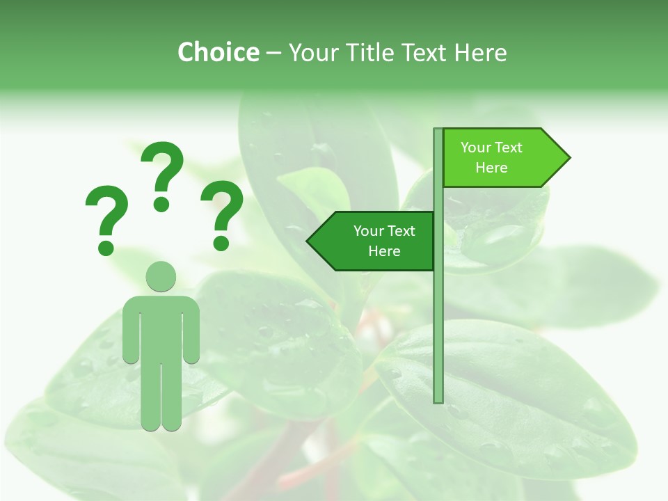 Peperomia Leaves Leafs PowerPoint Template