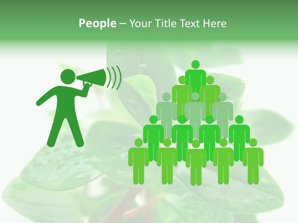 Peperomia Leaves Leafs PowerPoint Template