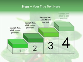 Peperomia Leaves Leafs PowerPoint Template