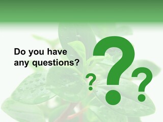 Peperomia Leaves Leafs PowerPoint Template