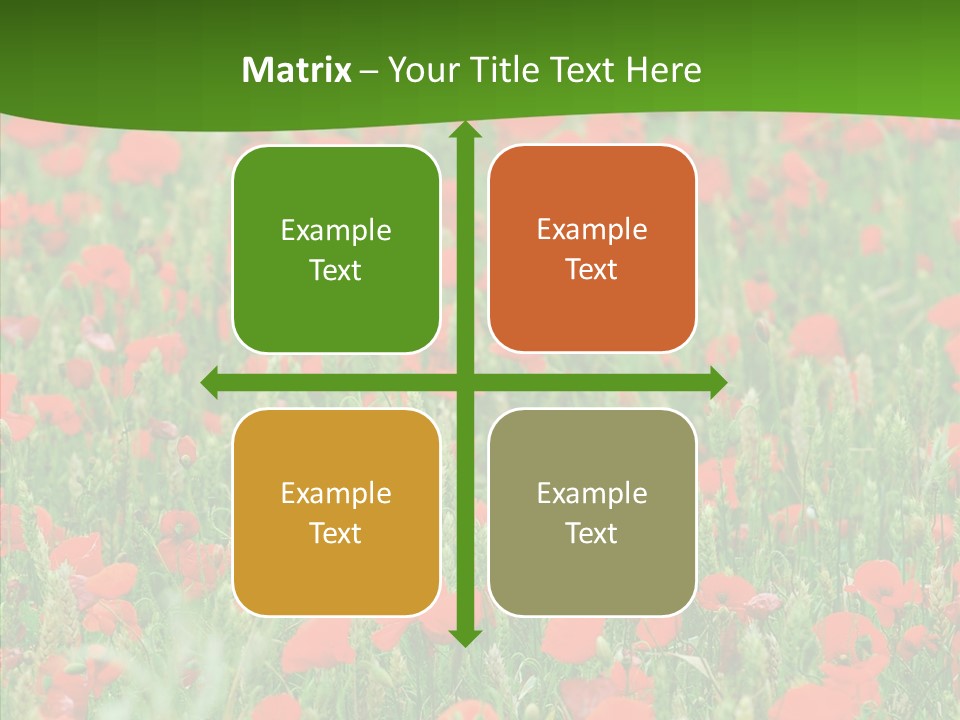 Growing War Bloom PowerPoint Template