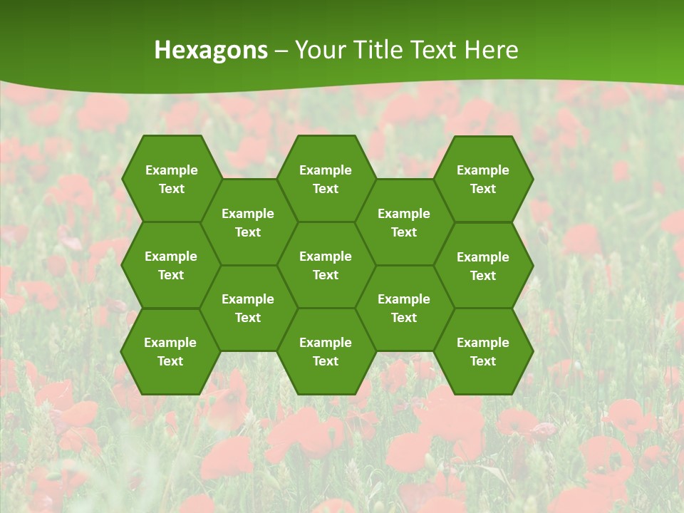 Growing War Bloom PowerPoint Template
