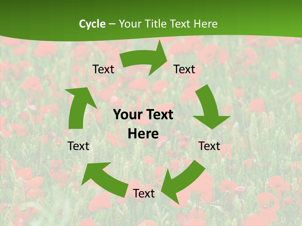 Growing War Bloom PowerPoint Template