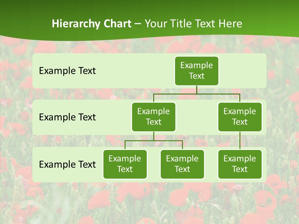 Growing War Bloom PowerPoint Template