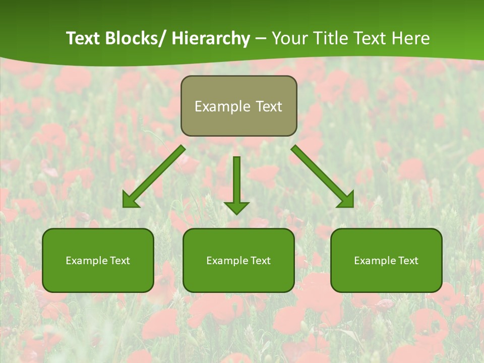 Growing War Bloom PowerPoint Template