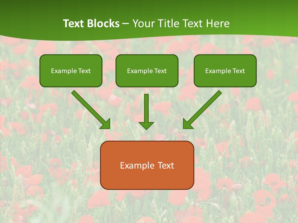 Growing War Bloom PowerPoint Template