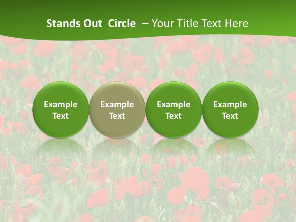 Growing War Bloom PowerPoint Template