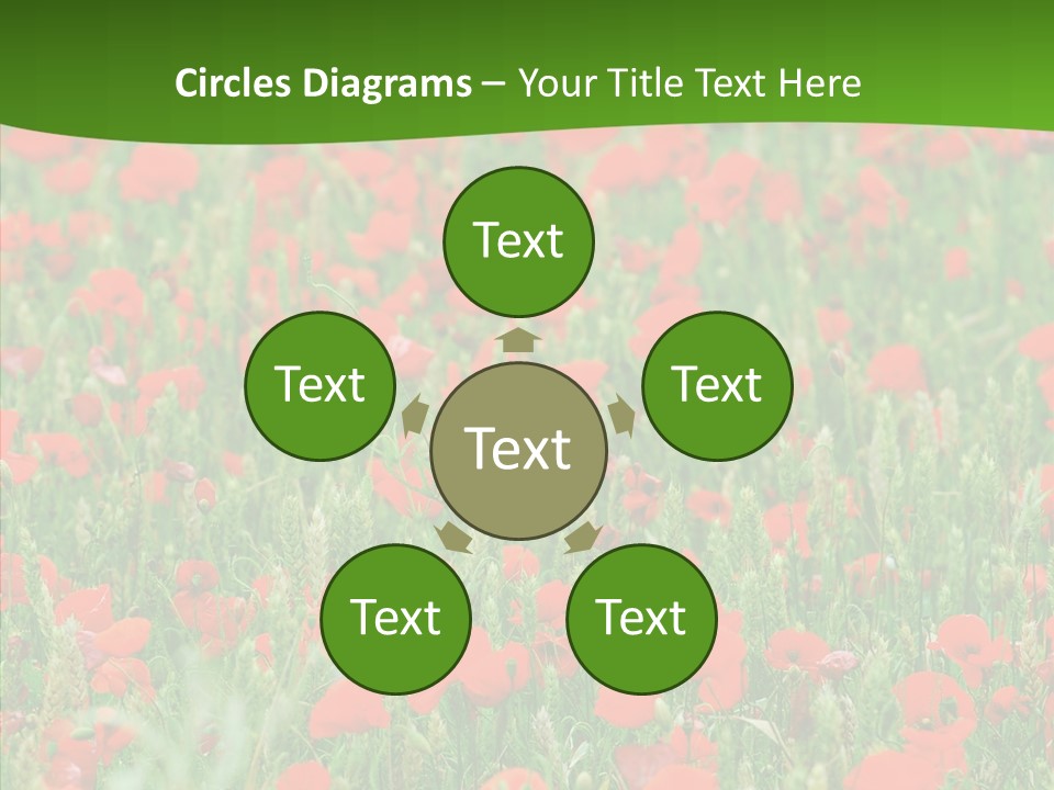 Growing War Bloom PowerPoint Template