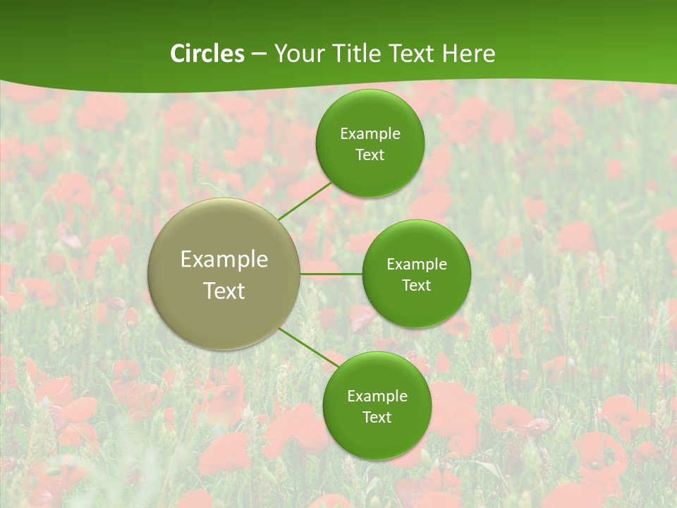Growing War Bloom PowerPoint Template