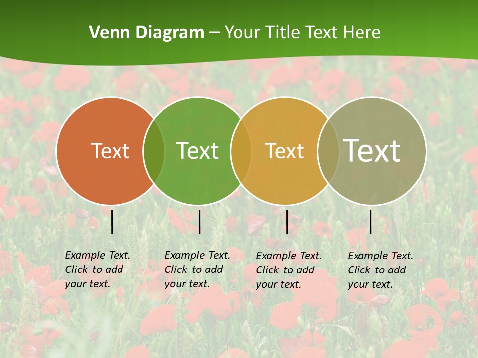 Growing War Bloom PowerPoint Template