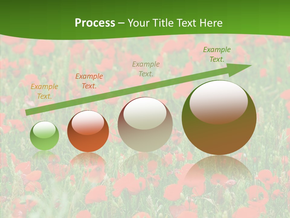 Growing War Bloom PowerPoint Template