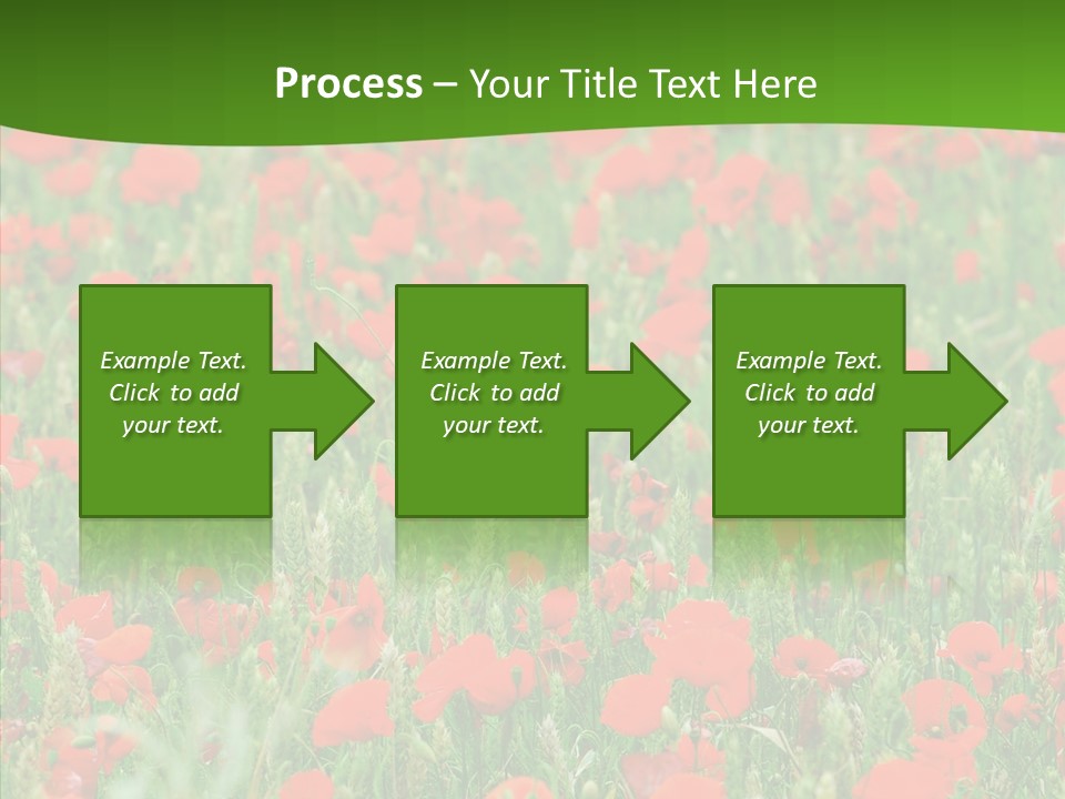 Growing War Bloom PowerPoint Template