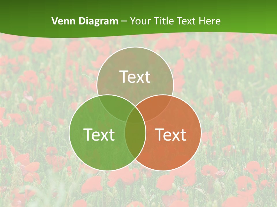 Growing War Bloom PowerPoint Template