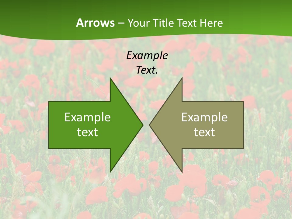 Growing War Bloom PowerPoint Template