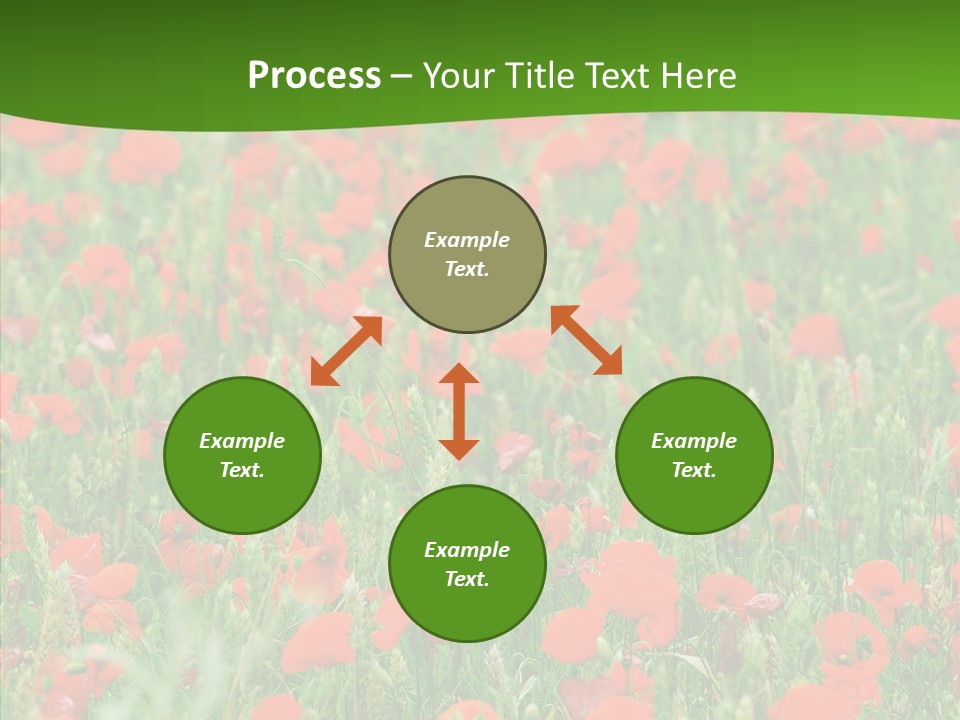 Growing War Bloom PowerPoint Template