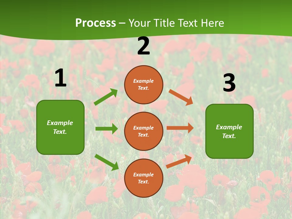 Growing War Bloom PowerPoint Template