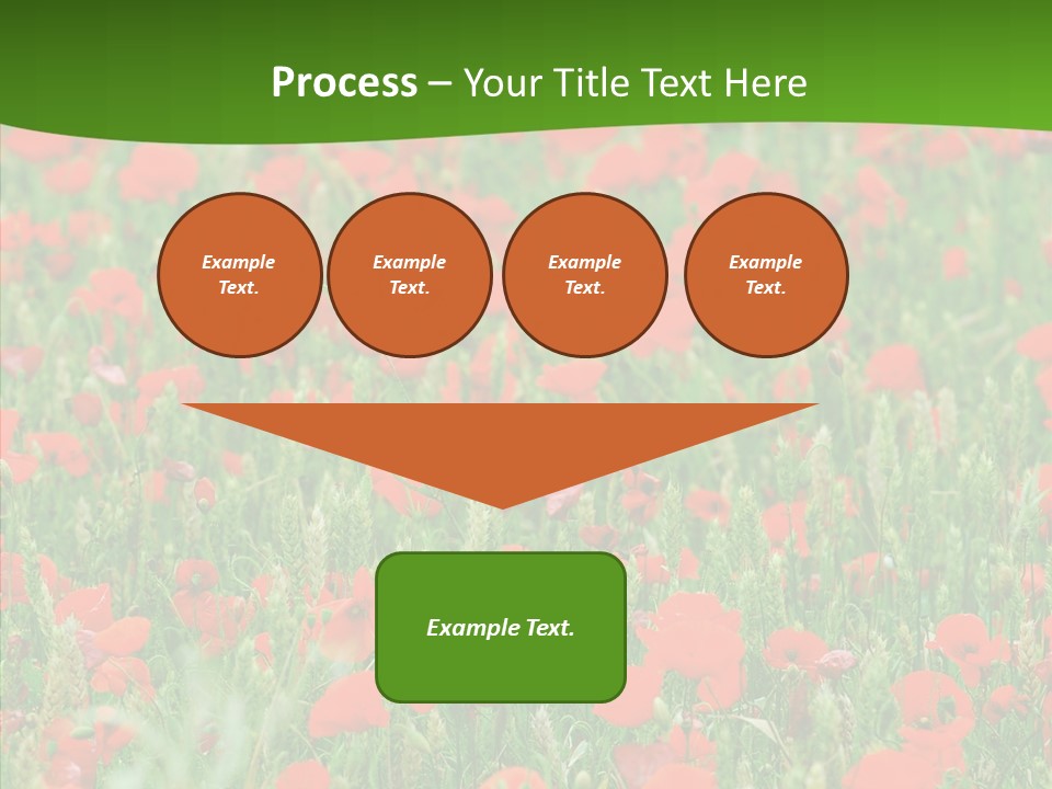 Growing War Bloom PowerPoint Template