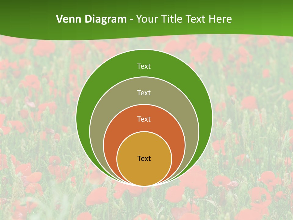 Growing War Bloom PowerPoint Template