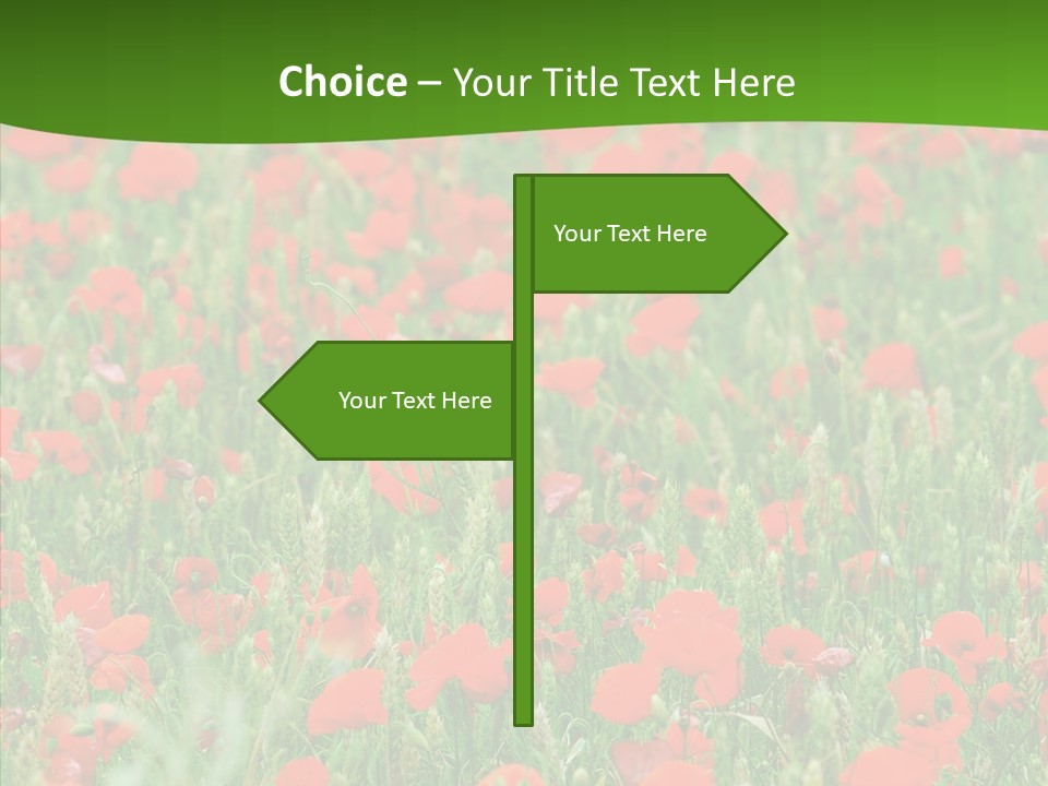 Growing War Bloom PowerPoint Template