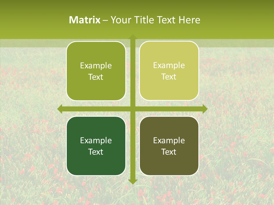 Vacation Europe Remembrance PowerPoint Template