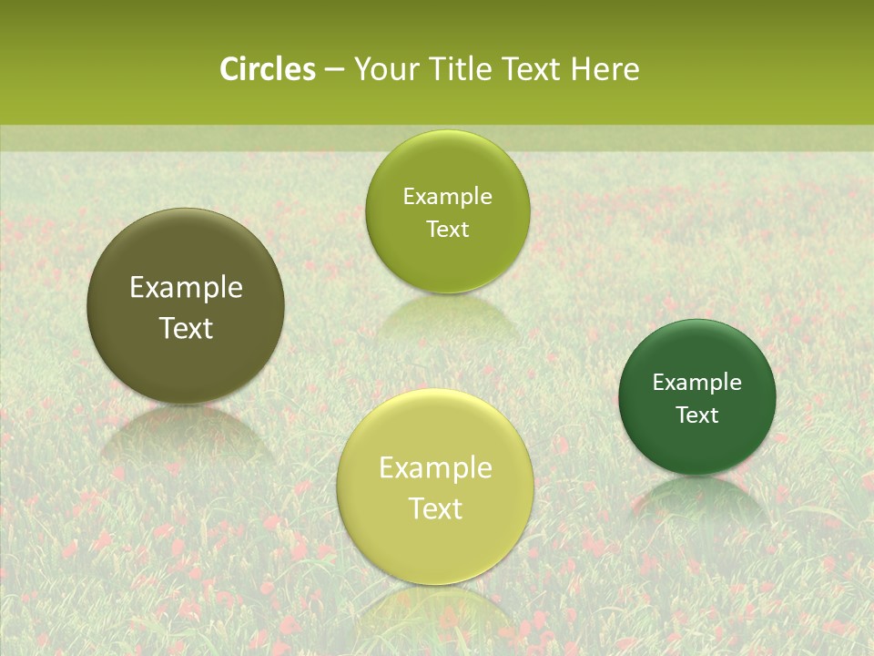 Vacation Europe Remembrance PowerPoint Template