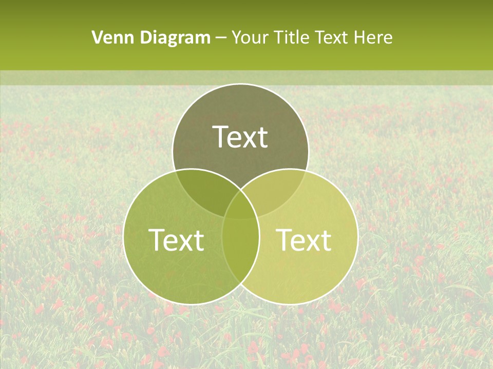 Vacation Europe Remembrance PowerPoint Template