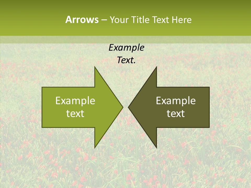 Vacation Europe Remembrance PowerPoint Template