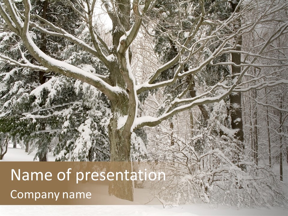 Snow Composition Outdoors PowerPoint Template