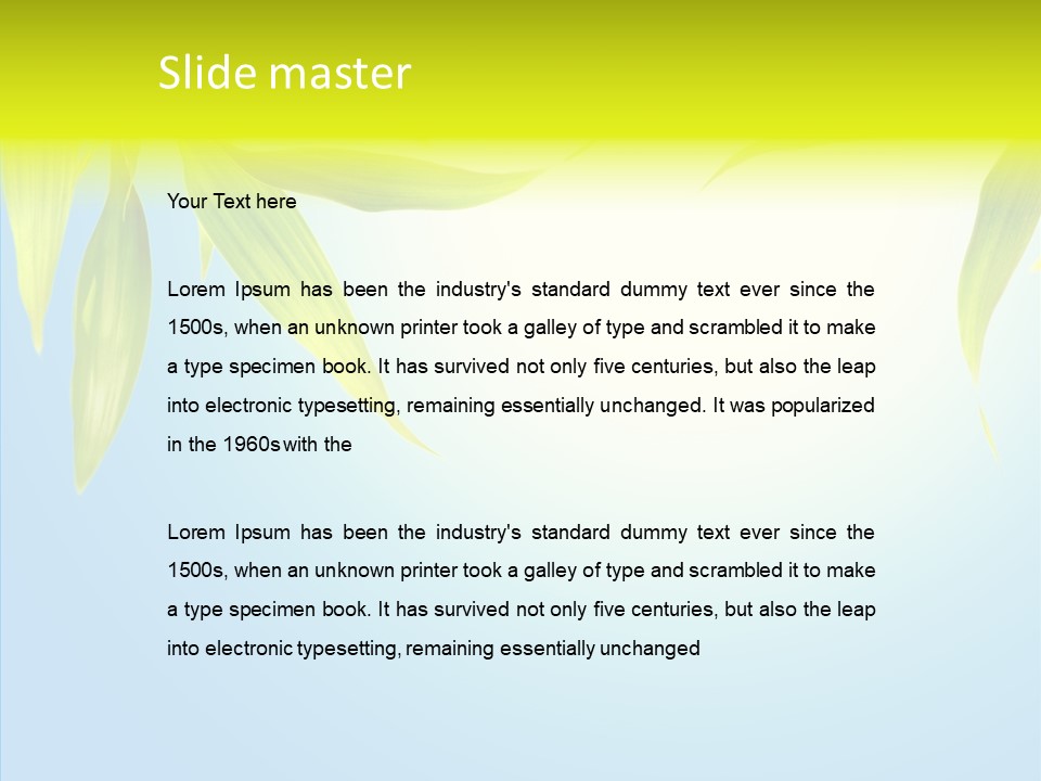Zen Light Summer PowerPoint Template