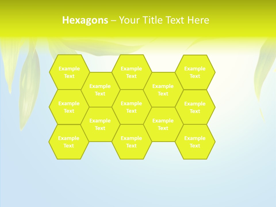 Zen Light Summer PowerPoint Template