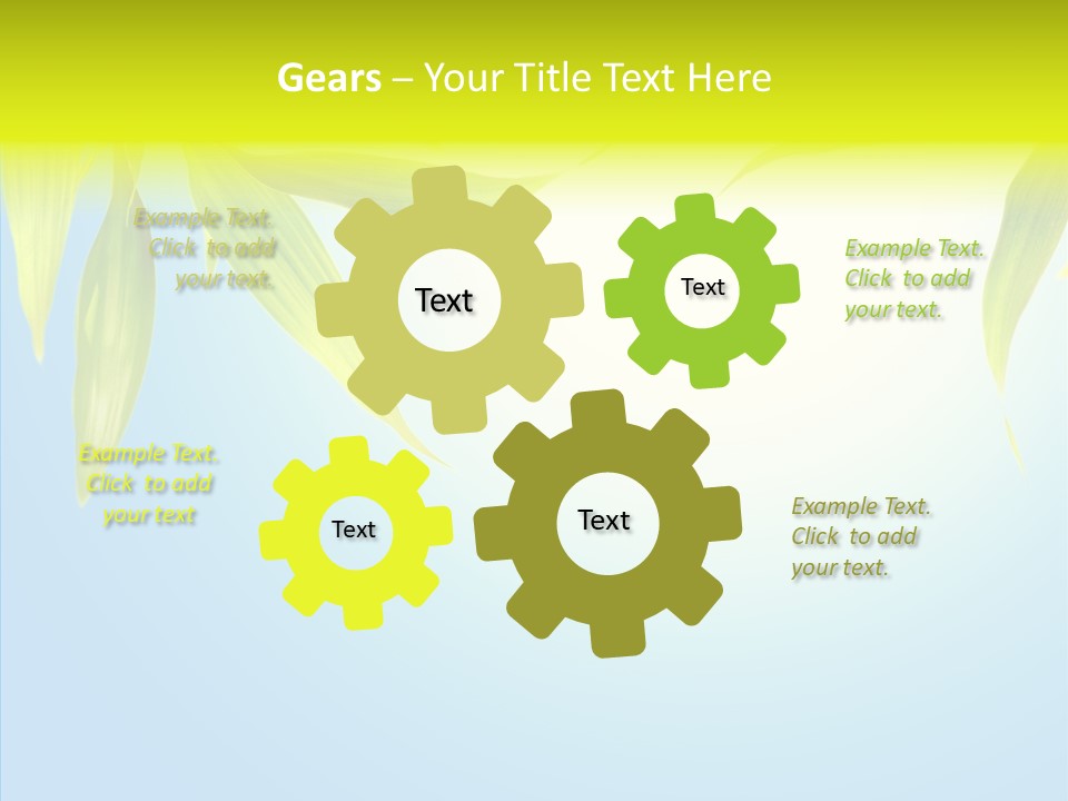 Zen Light Summer PowerPoint Template